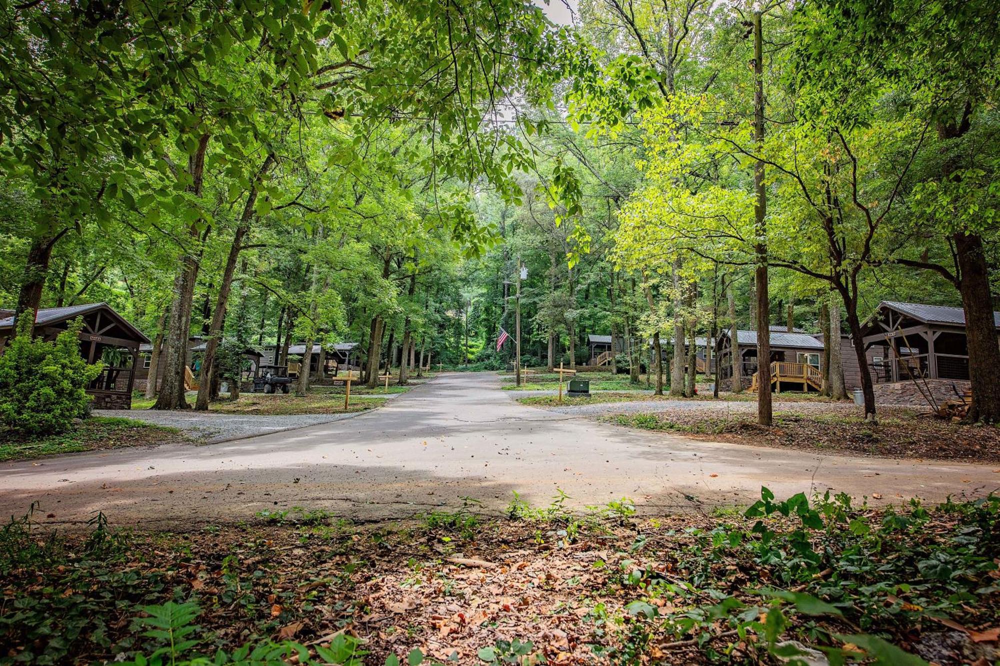 Martha Cabin Tiny Cabin By Downtown チャタヌーガ エクステリア 写真